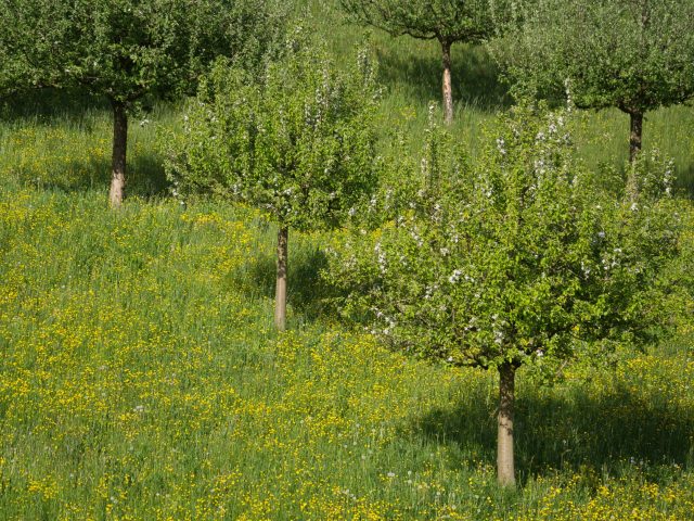 Mesures simples pour éviter les allergies cette saison